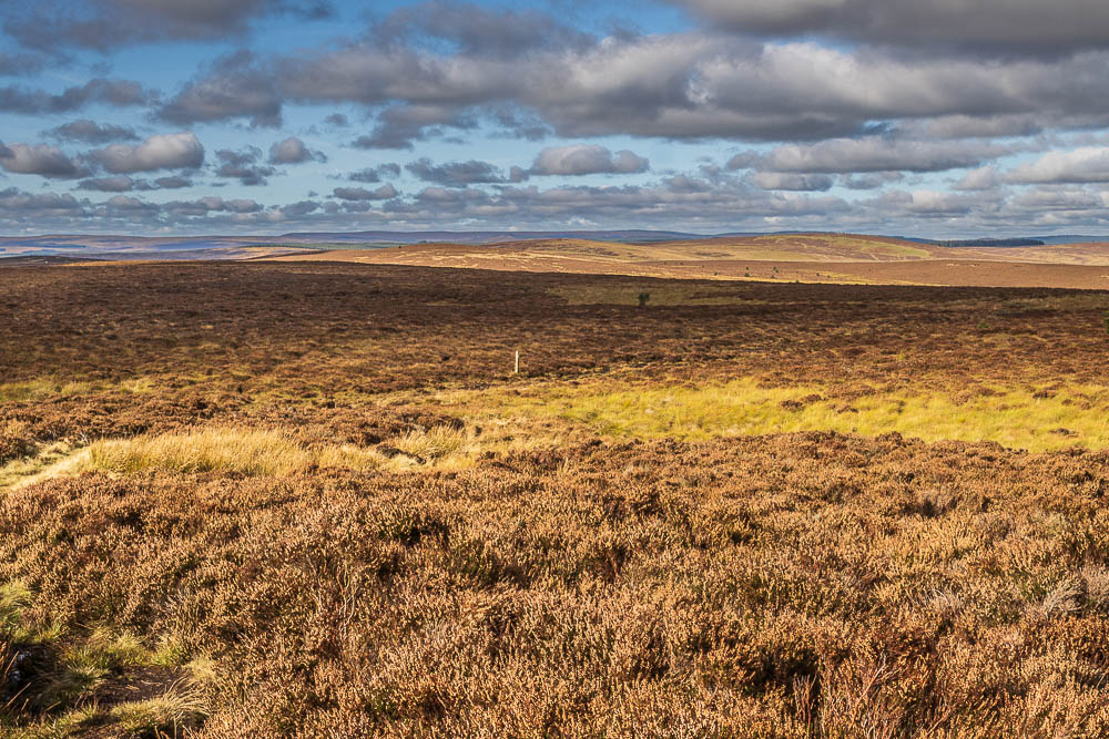 Whitley Pike Whitley Pike